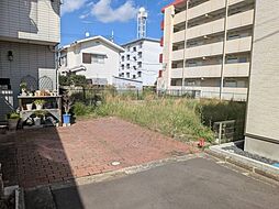 茨城県水戸市白梅