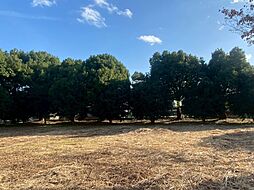 茨城県ひたちなか市大字後台