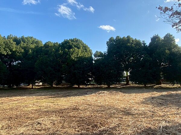 外観：308000147897