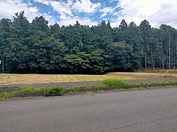 茨城県小美玉市羽鳥