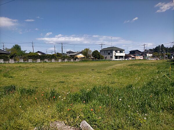 外観：308000148165