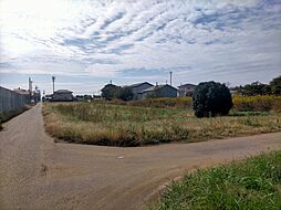 茨城県ひたちなか市道メキ