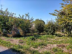 茨城県石岡市東大橋