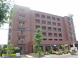 シャドム御茶園