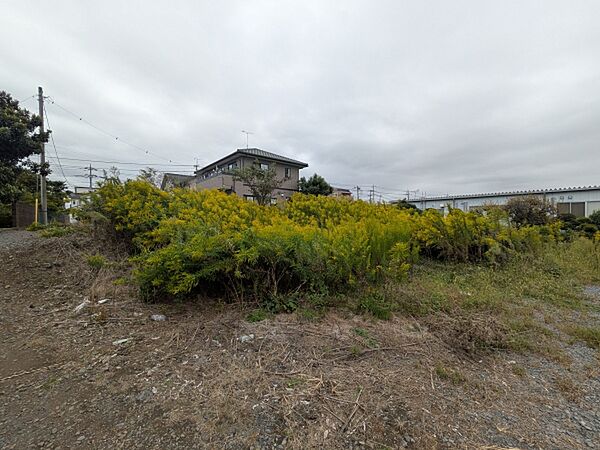 外観：308000161195