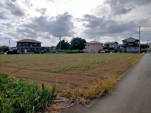 外観：308000162254