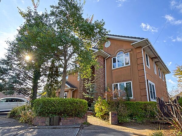 外観：308000166107