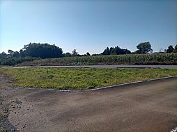 茨城県小美玉市張星