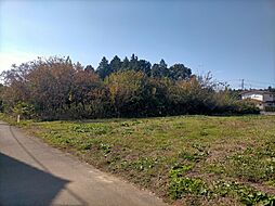 茨城県小美玉市羽鳥