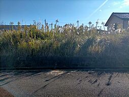 茨城県石岡市柿岡