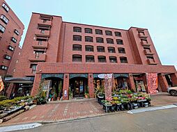 シャドム御茶園