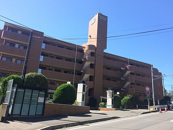 外観：308000173219