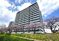 プラウド水戸桜川