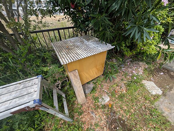 その他画像