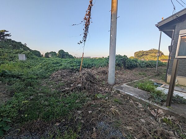 外観：308000190265