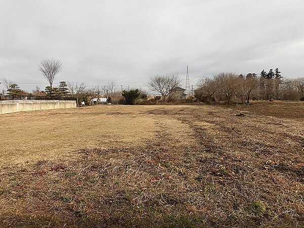 外観：308000119221