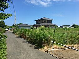 茨城県ひたちなか市道メキ