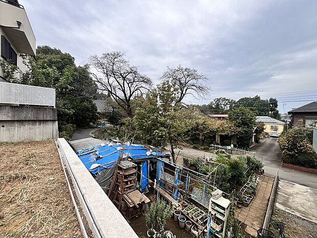 敷地から東光院の桜の木が見えます。
