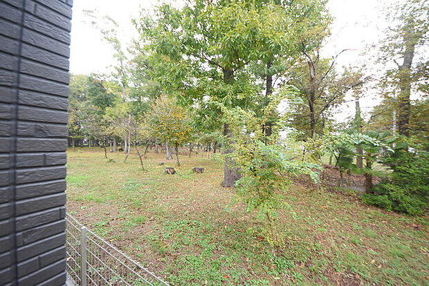 隣地が若狭山の神市民の森（1m）