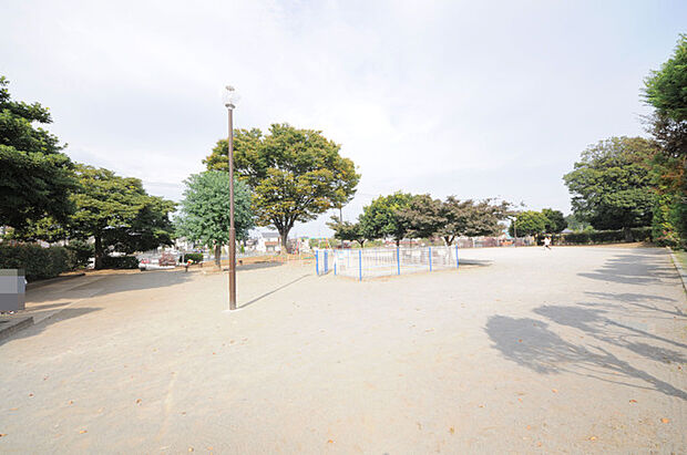 海谷公園（所沢市）（620m）