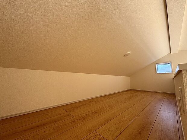 季節物の収納などによいロフト