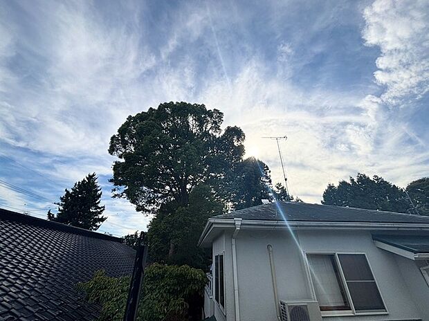 バルコニーからの眺望