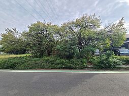 東京都東村山市野口町3丁目