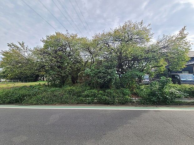 五感で感じる、現地でしかわからない事も沢山ございます。周辺環境なども一緒にご案内いたしますのでお気軽にお問合せください。 