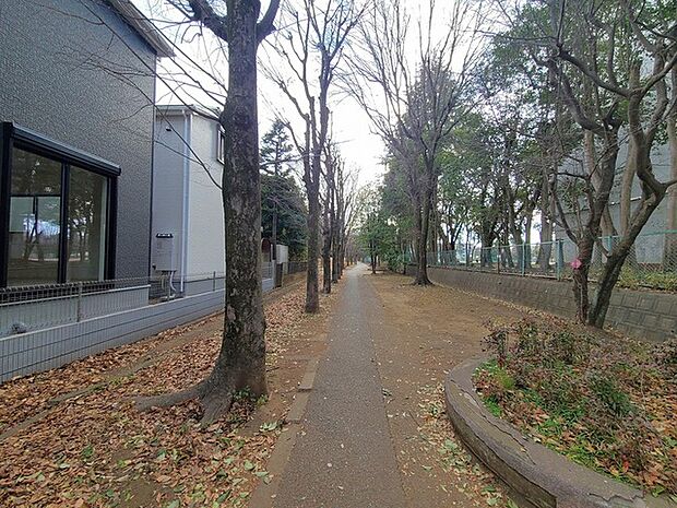 遊歩道から