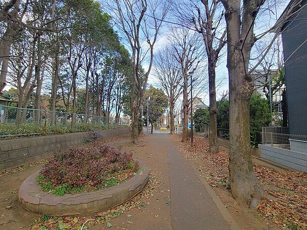 遊歩道から