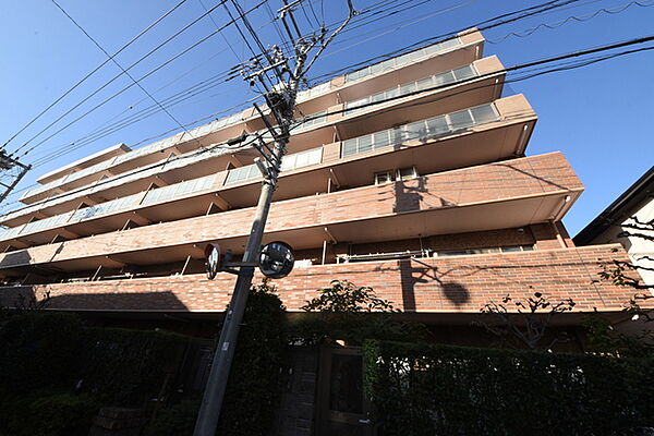 外観：313004513667