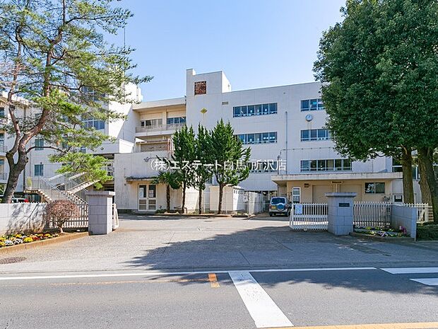 富岡中学校(2600m)