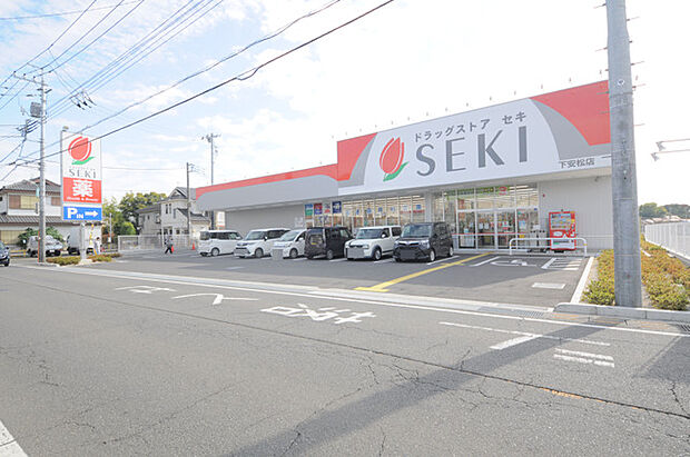 ドラッグストアセキ下安松店(550m)