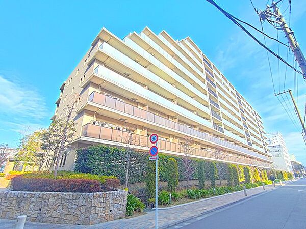 外観：313004666357