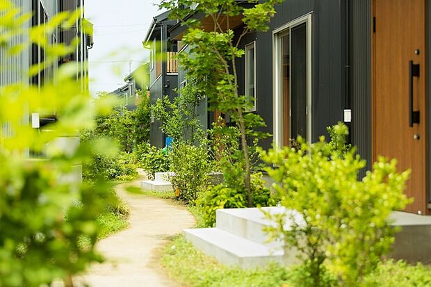 （過去のプロジェクトの竣工写真）敷地に軒路をつくり、植栽で囲むような敷地設計になります。 ・プラン建物面積：建物84.29平米PLAN  ・プラン建物価格：3、850万円（税込）