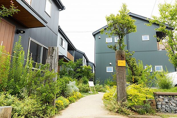 （過去のプロジェクトの竣工写真）敷地に軒路をつくり、植栽で囲むような敷地設計になります。 ・プラン建物面積：建物64.46平米PLAN  ・プラン建物価格：3、520万円（税込）