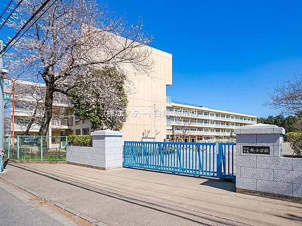 林小学校(590m)