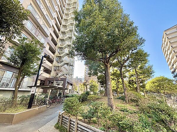 外観：311002287131