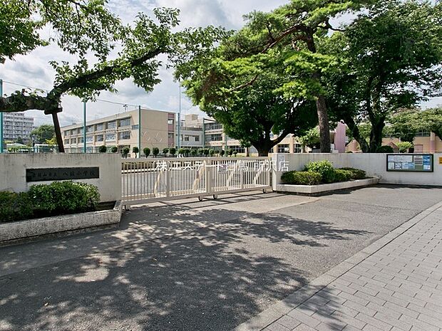 八坂小学校(70m)