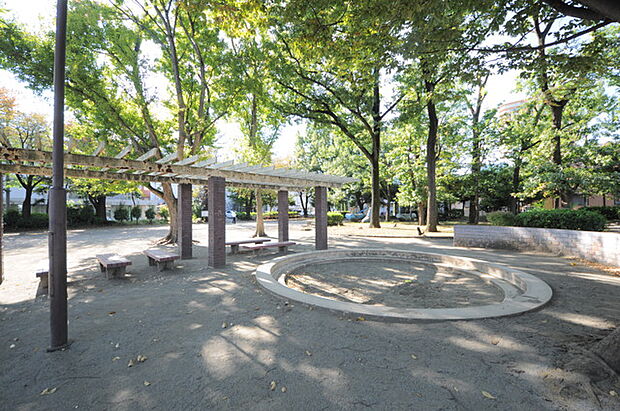 中山公園(所沢市)(580m)