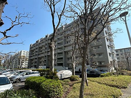 完成物件だから、引っ越したあとの配置や動線も分かりやすい。