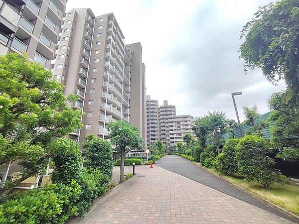 外観：311002363454