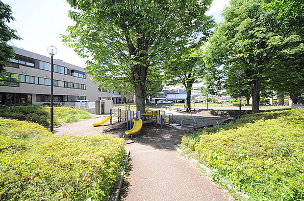 根岸公園(所沢市)(480m)