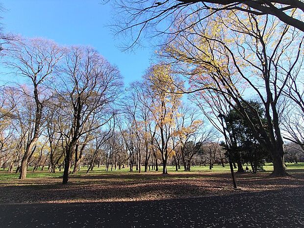 都立小金井公園（700m）