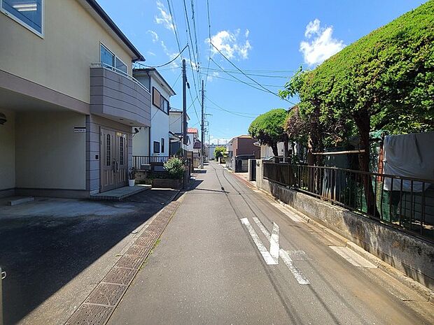 周辺の家並み(5m)