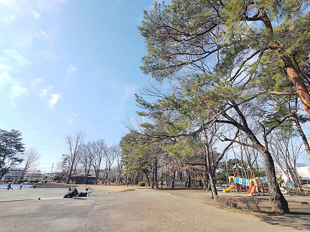 緑町中央公園(600m)