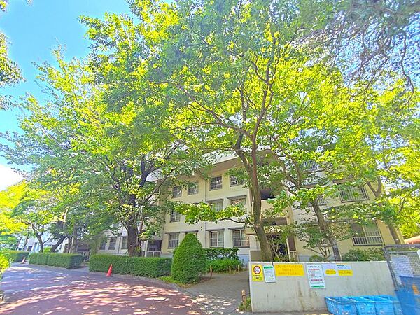 完成物件だから、引っ越したあとの配置や動線も分かりやすい。
