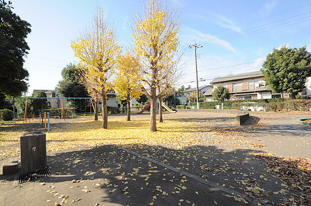 雪見原西公園（所沢市）（290m）