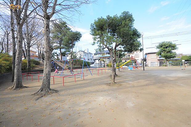 椿峰公園（所沢市）（250m）