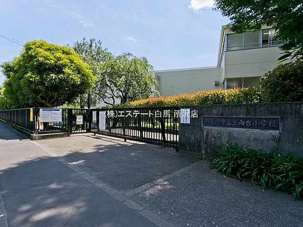 上向台小学校（910m）